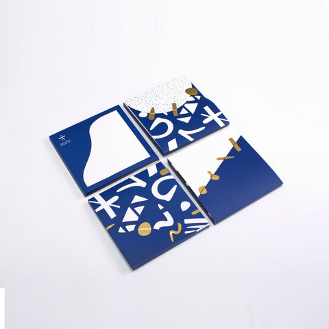 Printed rectangle silk scarf in white and blue